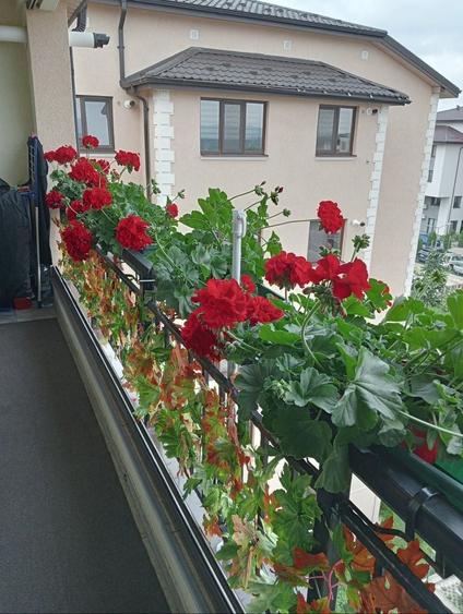 Apartament cu 2 camere semidecomandat în Valea Adâncă