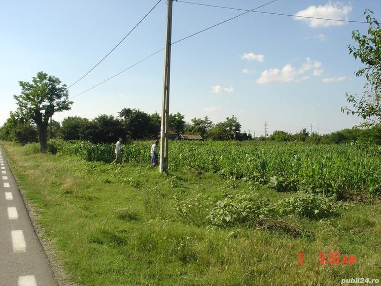Teren de 2500 mp, în Sălcioara