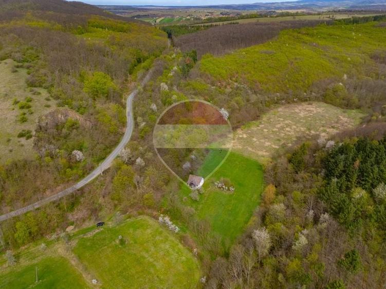 Casă individuală cu 4 camere cu Teren 5000 Mp în Cărand
