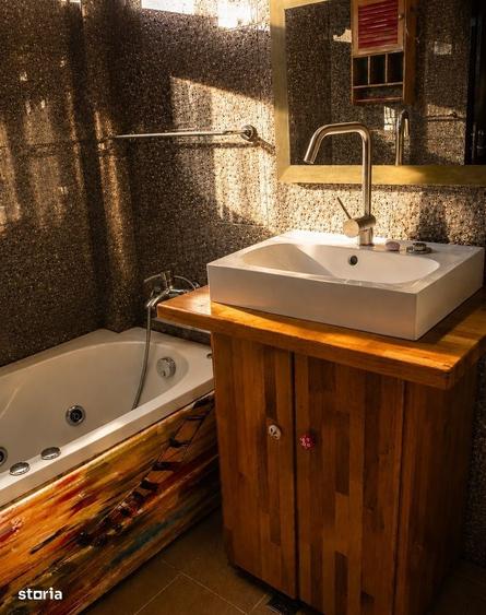 Apartament 2 camere de inchiriat Parcul Tineretului | Vila noua - 6