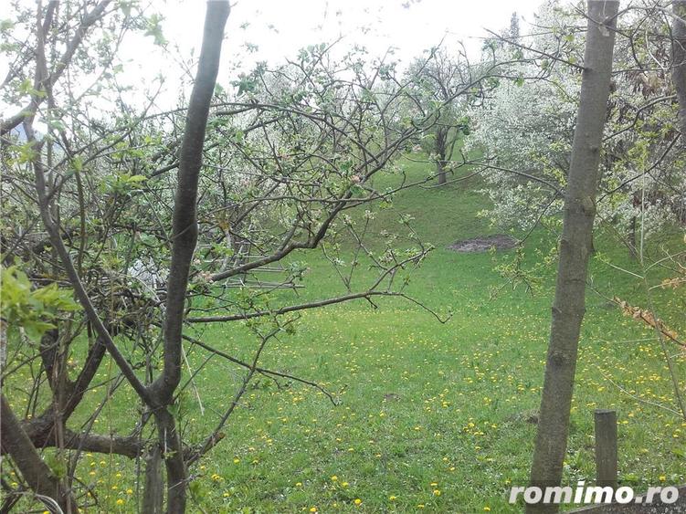 Teren de 3400 mp, în Trăisteni