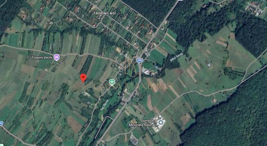 Teren Construcții intravilan de 6600 mp, în Rășinari
