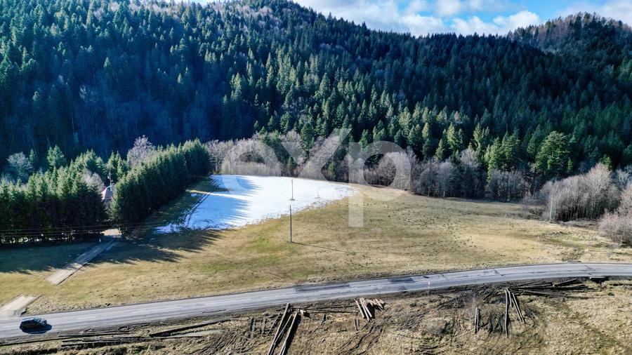 Teren Construcții extravilan de 19200 mp, în Brădet