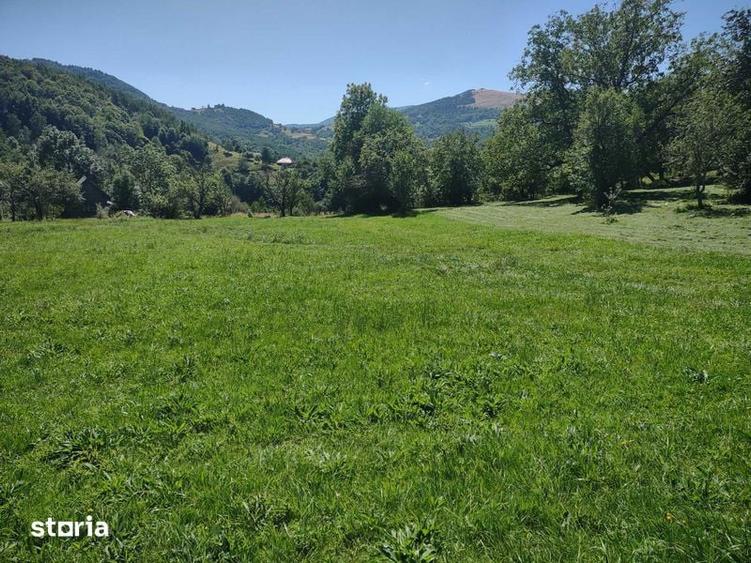 Teren de 1986 mp, în Poieni