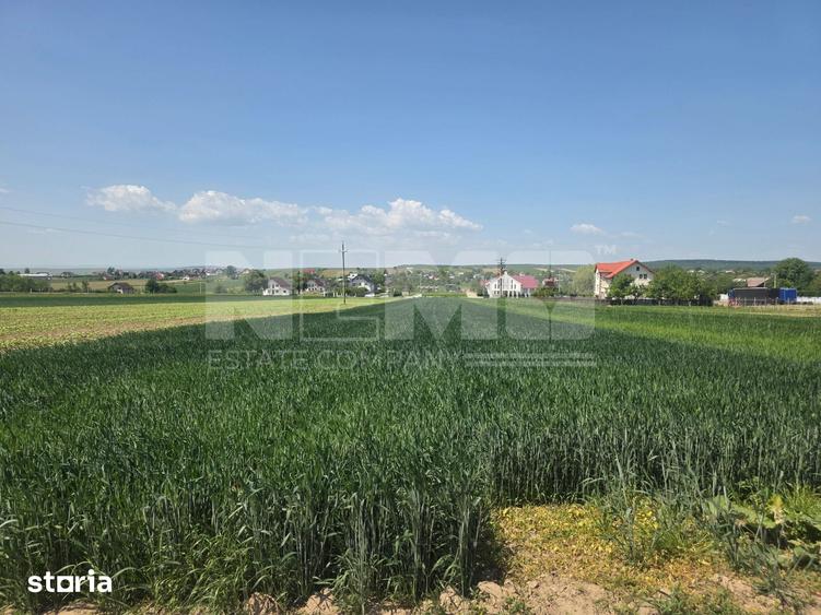 Teren de 2600 mp, în Mitocu Dragomirnei