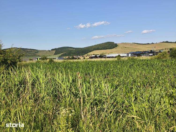 Teren de 559 mp, în Ernei