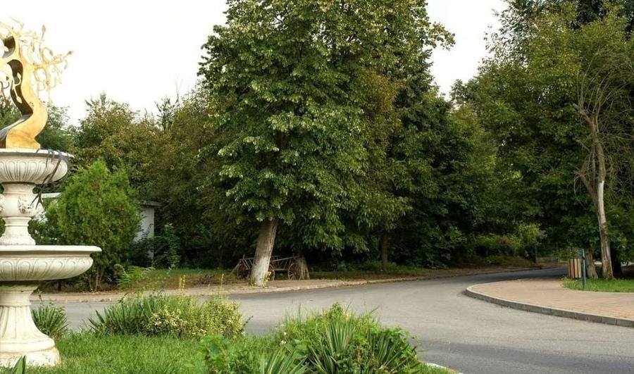 Teren Construcții intravilan de 3050 mp, în 1 Decembrie