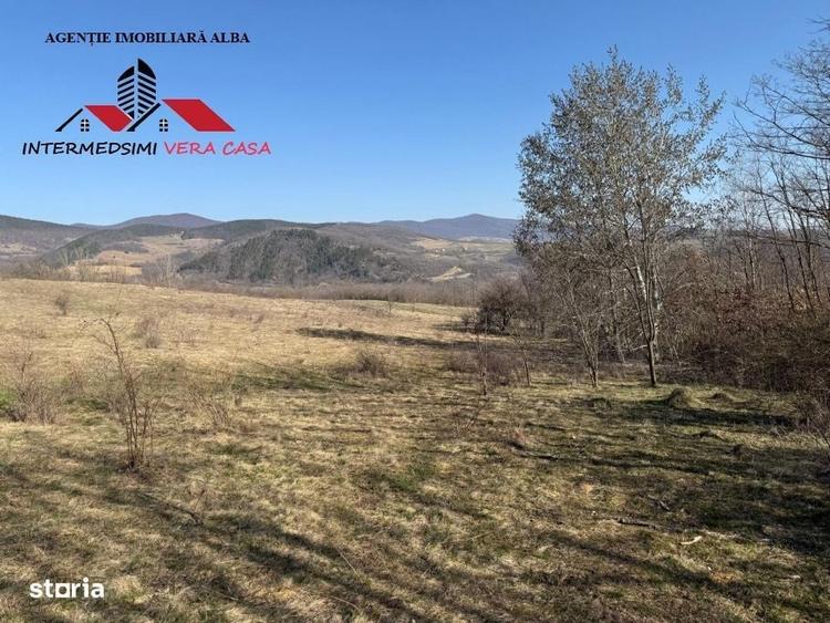 Spațiu comercial, în Pârău lui Mihai