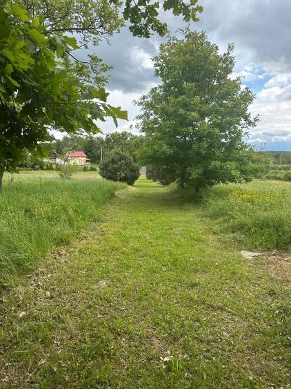 Casă individuală cu 13 camere cu Canalizare în Viile Satu Mare
