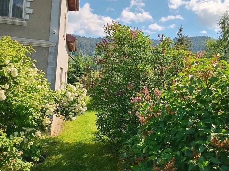 Casă individuală cu 3 camere cu Teren 3557 Mp în Argestru