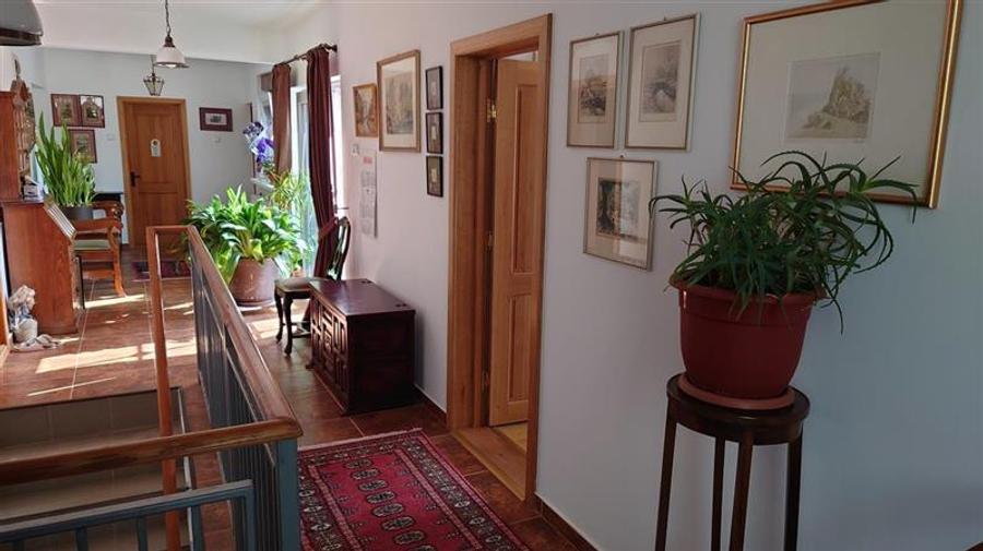 Casă individuală cu 5 camere cu Teren 7241 Mp în Central