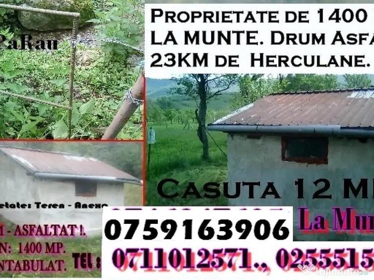 Casă cu 1 camere în Macoviște (Cornea)