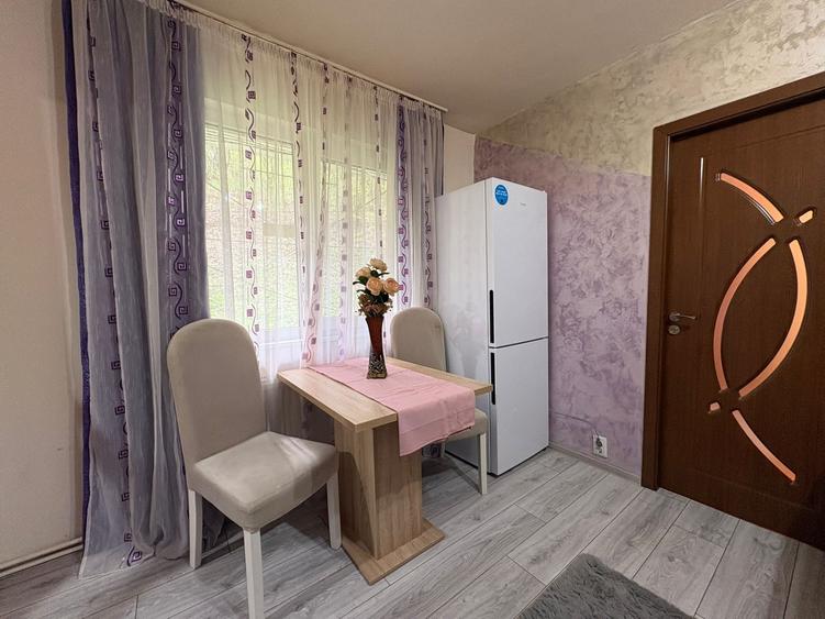 Apartament cu 2 camere semidecomandat, mobilat în Mureșeni