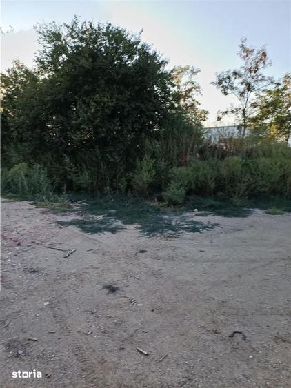 Otopeni-Str.Dr.Garii Balotesti-2.900mp-front 50ml-Ideal Investitie - 4