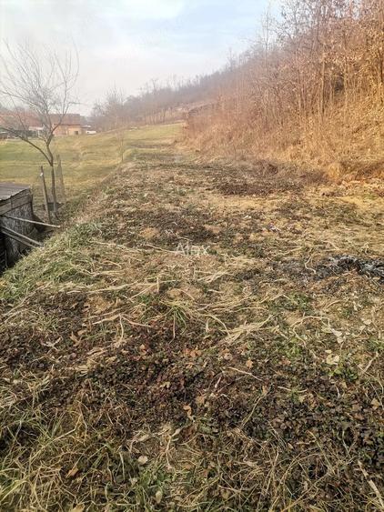 Casă cu 4 camere cu Teren 150 Mp în Nadăș