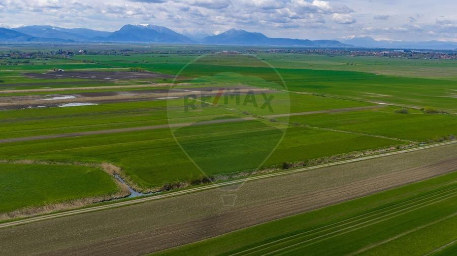 Teren agricol extravilan de 4000 mp, în Stupinii Prejmerului