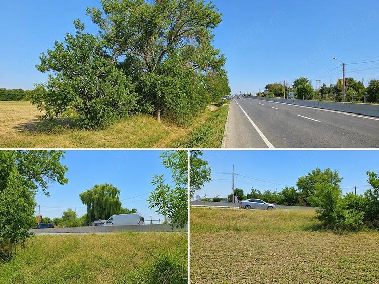 Teren de 5000 mp, în Jilava