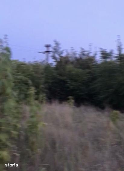 Teren de 1500 mp, în Central