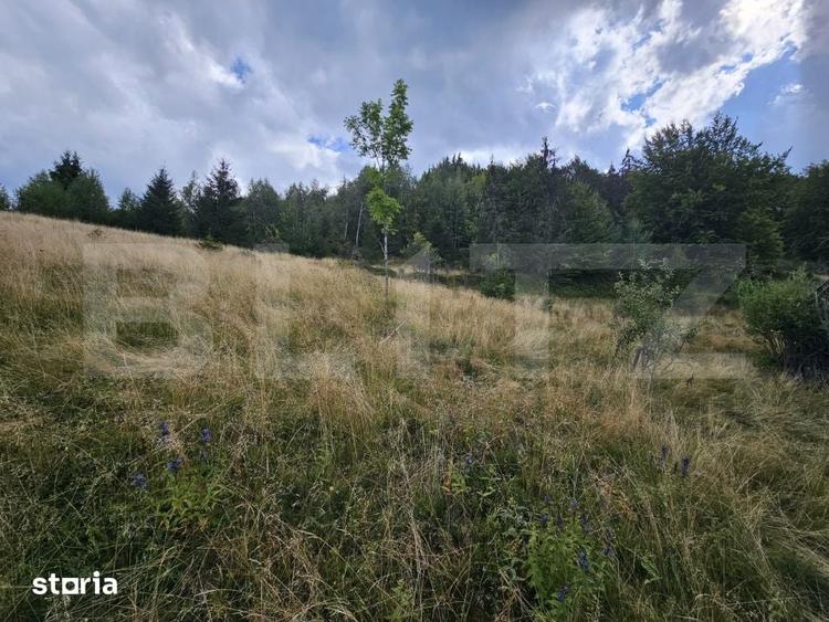 Teren intravilan 5.271 mp cu priveliste spectaculoasa Garda de Sus - 5