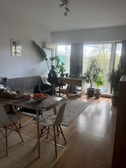 Apartament cu 2 camere în Dosu Bricii