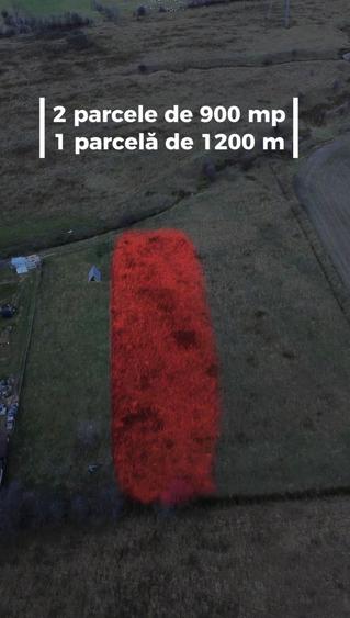 Teren Bran Zarnesti 3 km Castelul Bran 25 km Brasov - 14