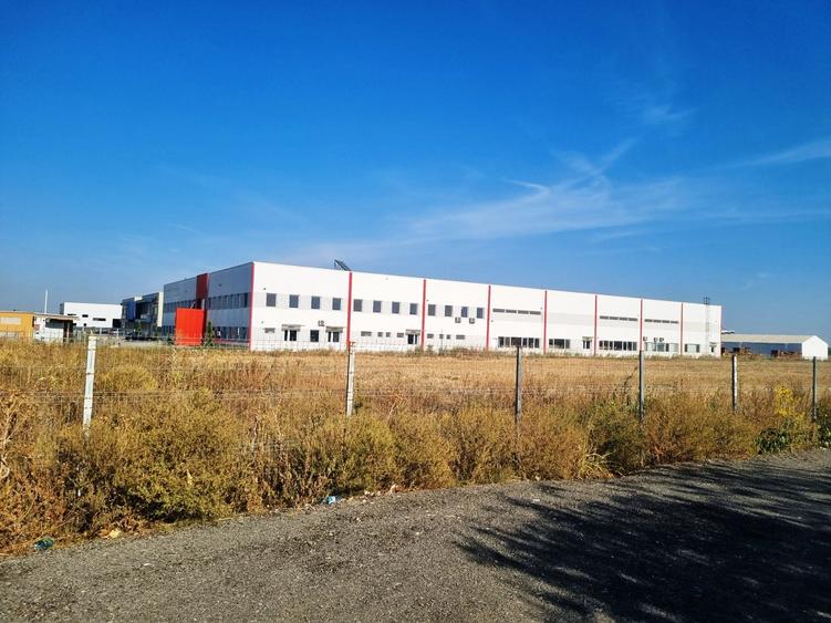 Vanzare Teren  industrial \5000mpMagurele Varteju - 1
