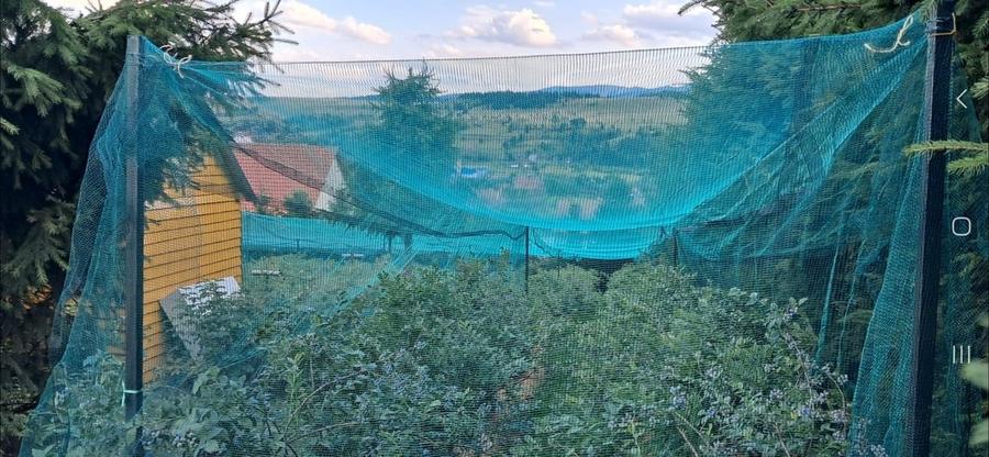 Casă cu 2 camere cu Teren 420 Mp în Central