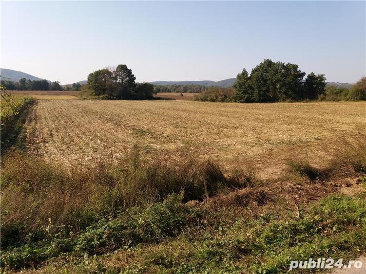 Teren de 11000 mp, în Fârdea