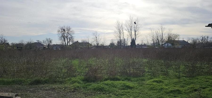 Teren de 5106 mp, în Mereni