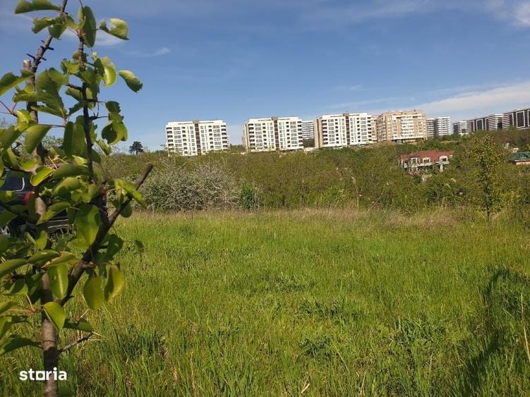 Teren intravilan IASI - COPOU - VITICULTORI - in vecinatatea padurii - 17