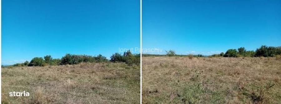 Teren I L Caragiale , ID: R3484158