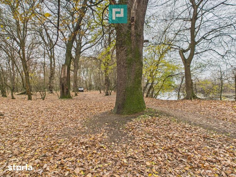 Teren de 5000 mp, în Periam