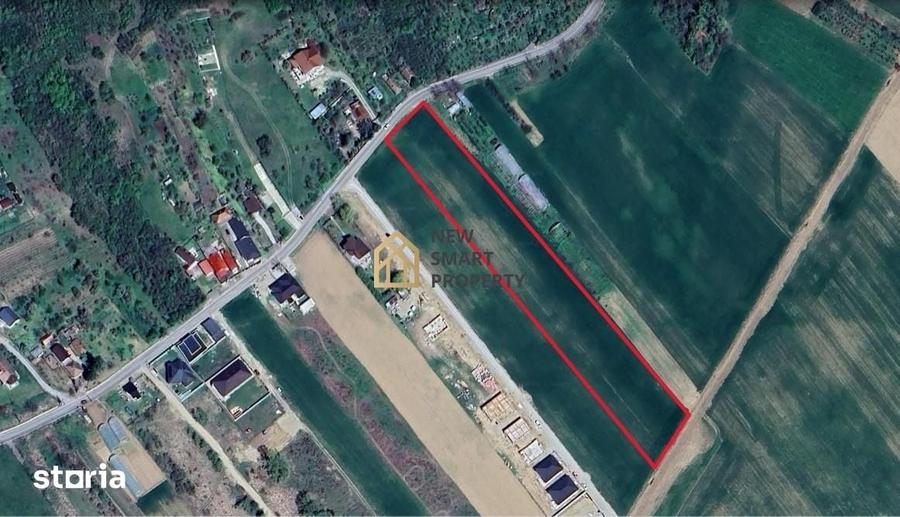 Teren de 8632 mp, în Podgoria