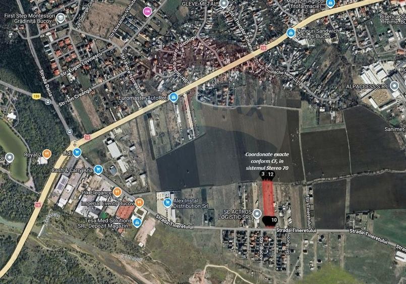 Teren Construcții intravilan de 7478 mp, în Bucov