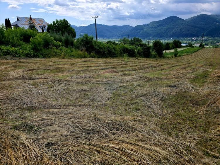 Teren de 680 mp, în Viișoara