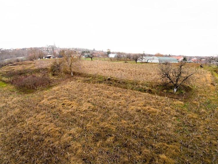 Casă individuală cu 4 camere cu Teren 9168 Mp în Șișterea