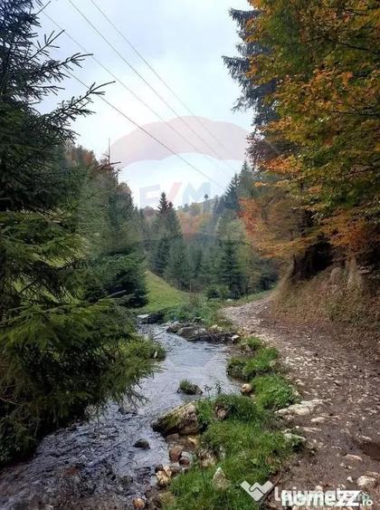 Teren în Șirnea