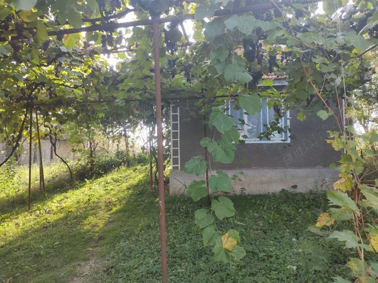 Casă cu 1 camere cu Teren 1100 Mp în Calea Mare