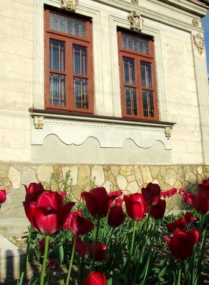 Casă cu 5 camere cu Teren 3610 Mp în Central