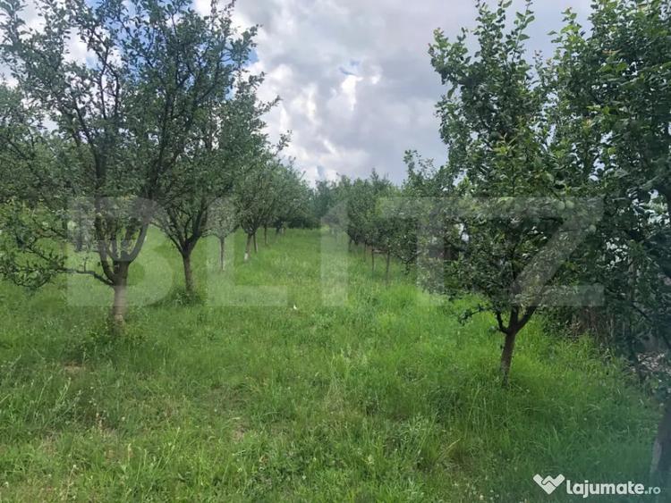 Teren de vanzare cu cabana ?i livada, 1300 mp, zona Viile - 8