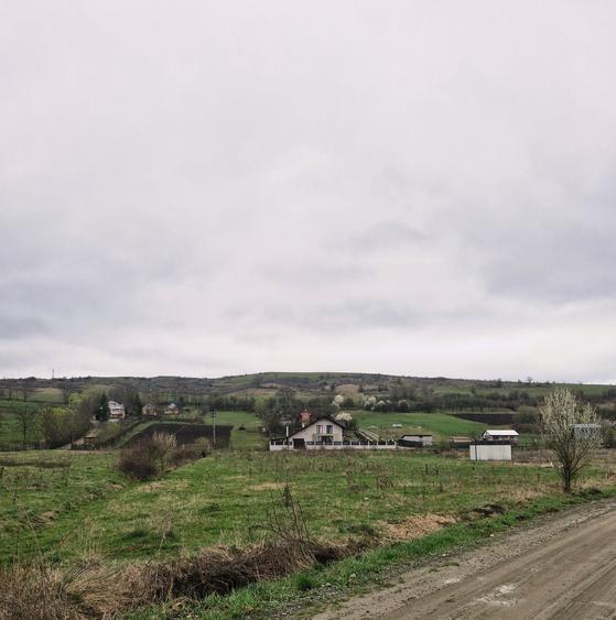 Teren de 3350 mp, în Viișoara