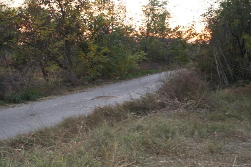 Teren Oază de liniște pt casa de vacanță sau pensiune - 5