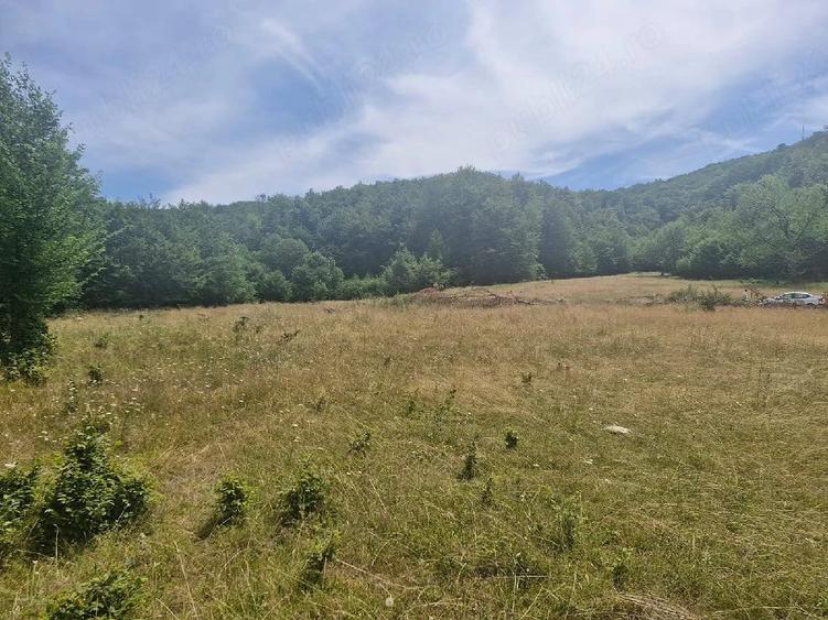 Casă cu Teren 1800 Mp în Anini