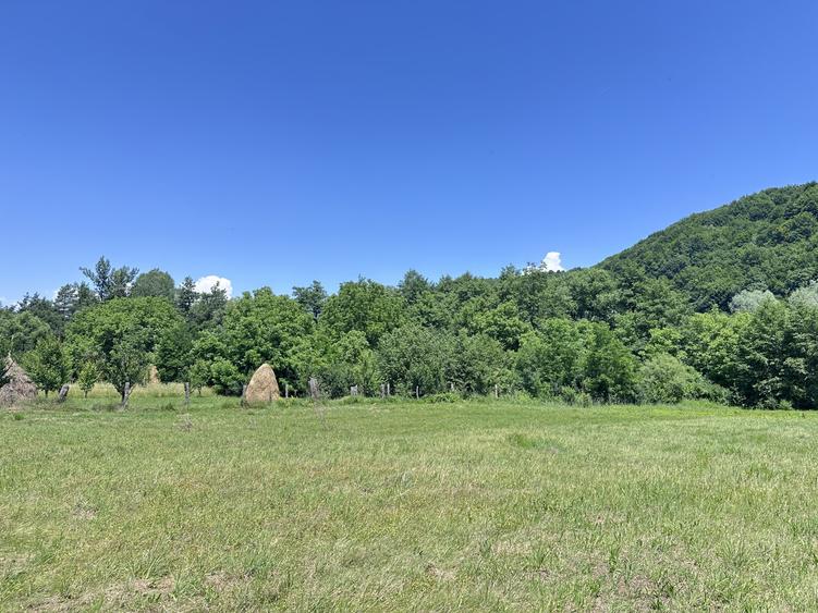 Casă individuală cu 10 camere cu Teren 5164 Mp în Malu cu Flori