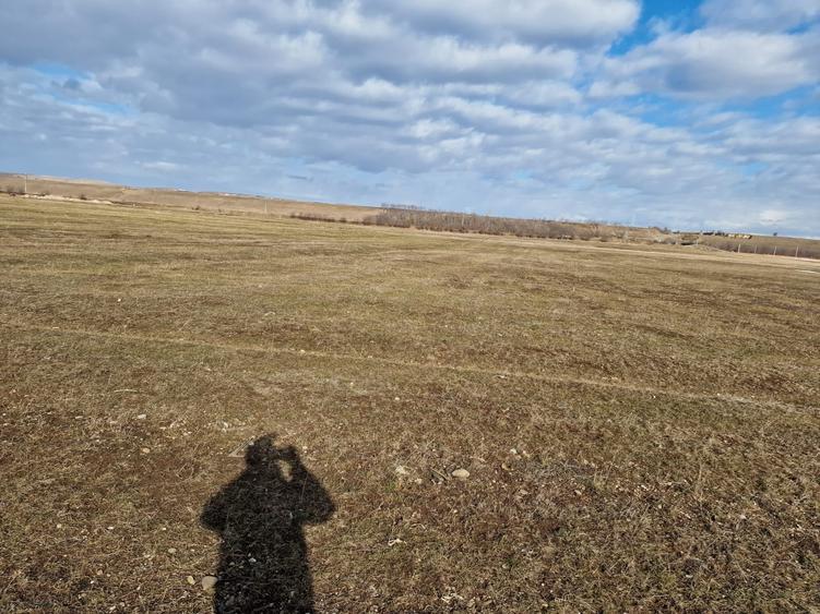 Teren agricol extravilan de 10000 mp, în Est