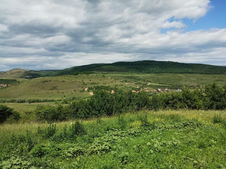 Teren de 2200 mp, în Rădaia