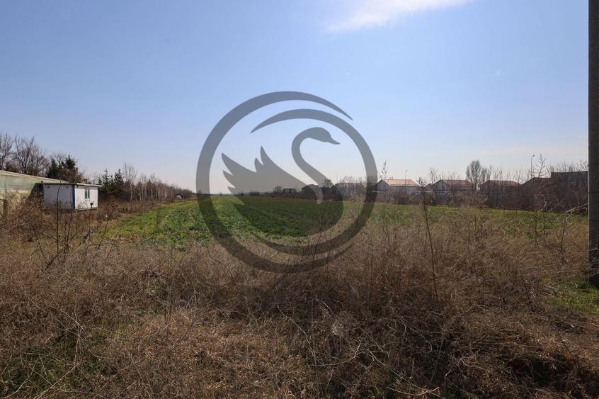 Teren Construcții intravilan de 7800 mp, în Târgșoru Nou