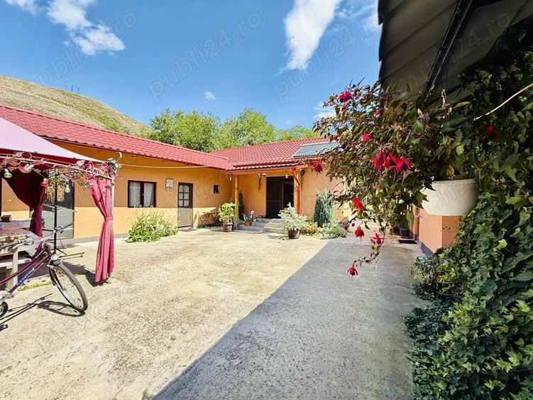 Casă cu 6 camere în Crivina