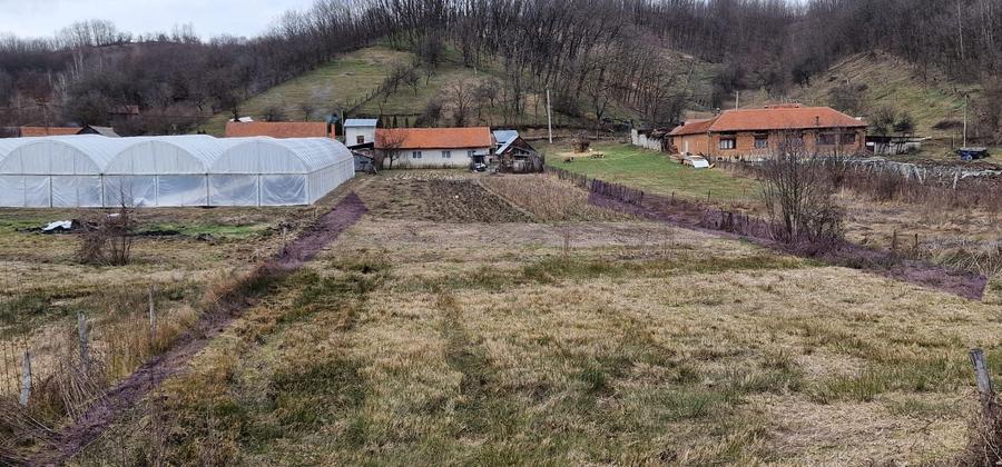 Casă cu 3 camere în Cornuțel