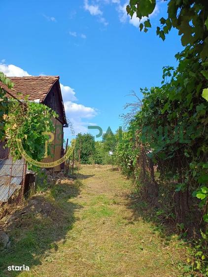 Casa cu teren 1.647 mp de vanzare Ha?ag, Sibiu - 2